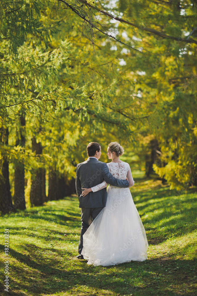 Autumn photographs of the newlyweds in the Sunny forest 365. Autumn photographs of the newlyweds in the Sunny forest 365.