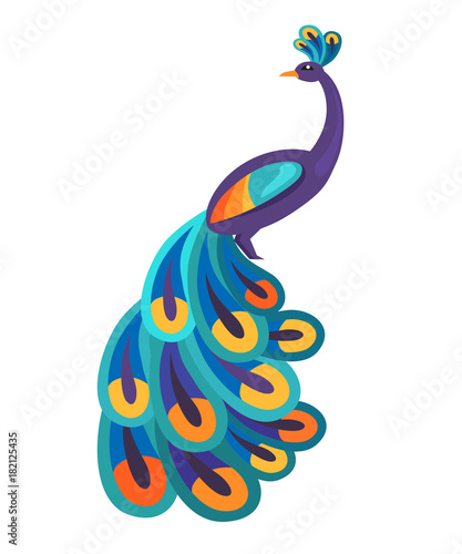 Peacock with Bright Feathers Isolated Illustration