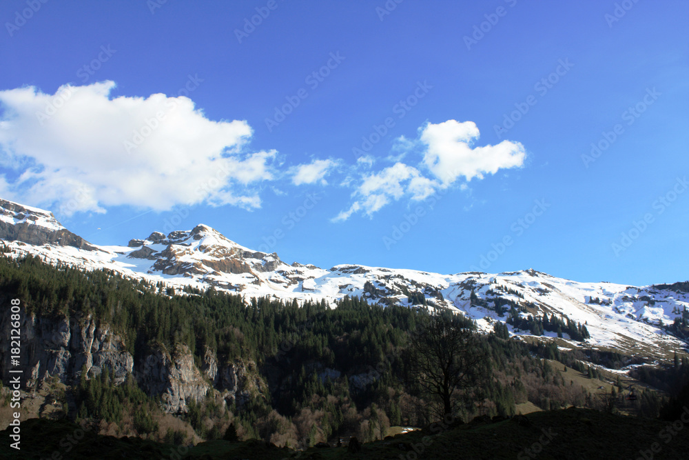 Alps with sky in Switzerland in spring