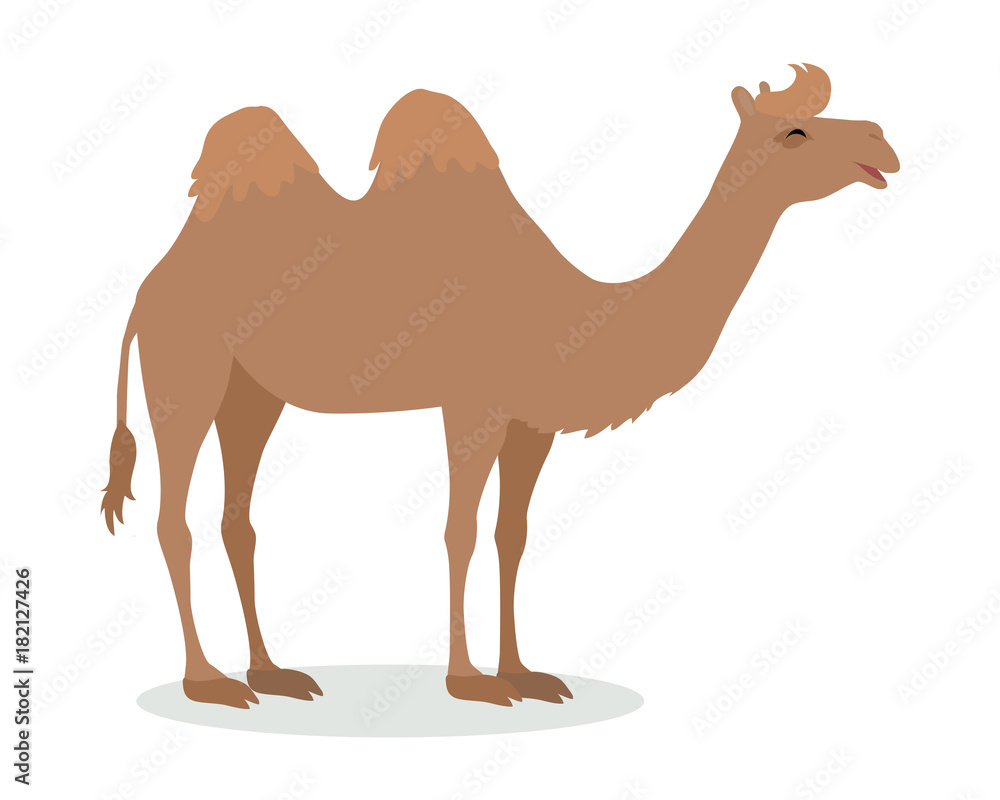 Bactrian Camel Cartoon Icon in Flat Design Bactrian Camel Cartoon Icon in Flat Design