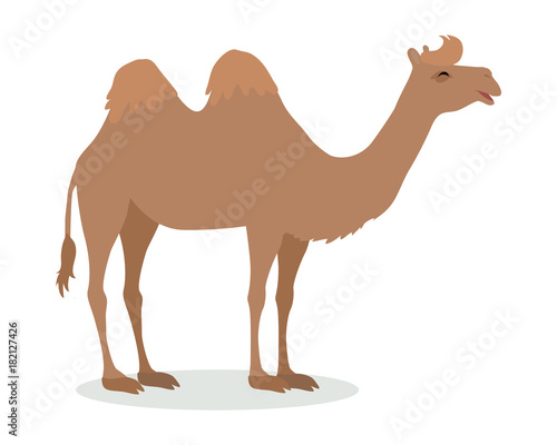 Bactrian Camel Cartoon Icon in Flat Design