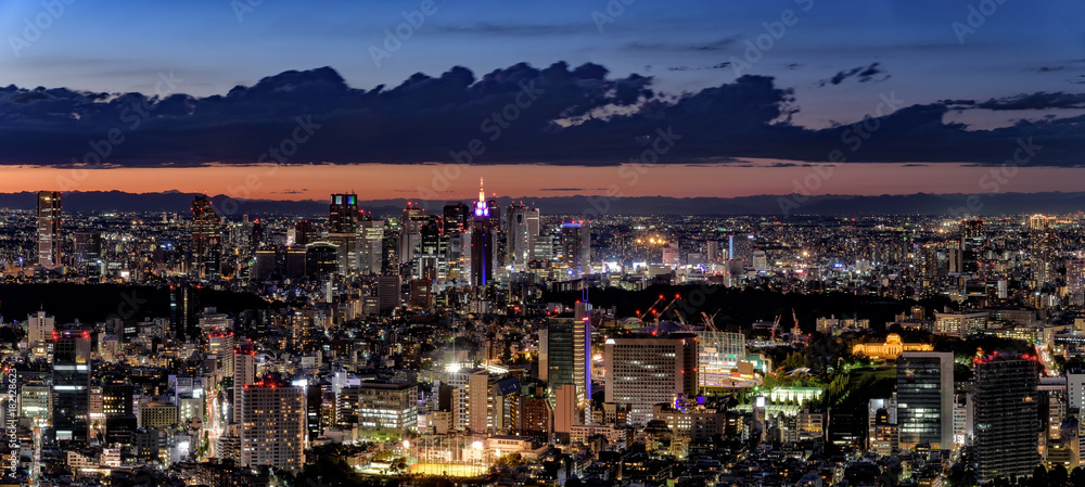 東京・新宿方面の夜景　大パノラマ