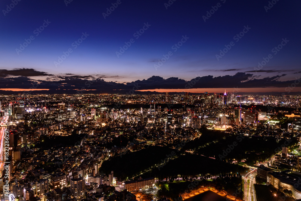 東京・新宿方面の夜景