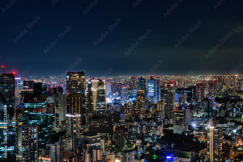 Naklejka premium 日本・東京の夜景