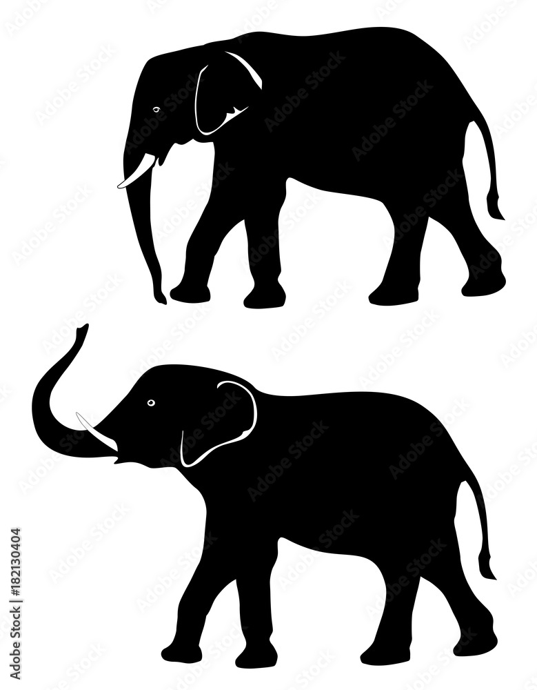 Naklejka premium Two elephants with a trunk down and a trunk up vector eps 10