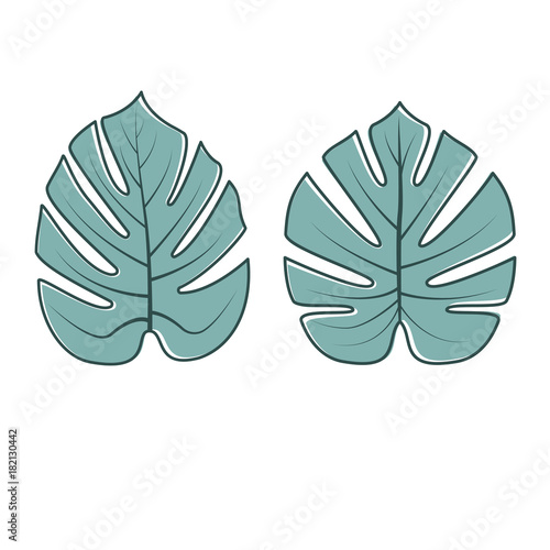 Tropical Leaves Collection. Vector illustration.