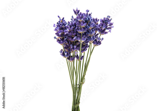 Fototapeta Naklejka Na Ścianę i Meble -  bouquet of lavender isolated