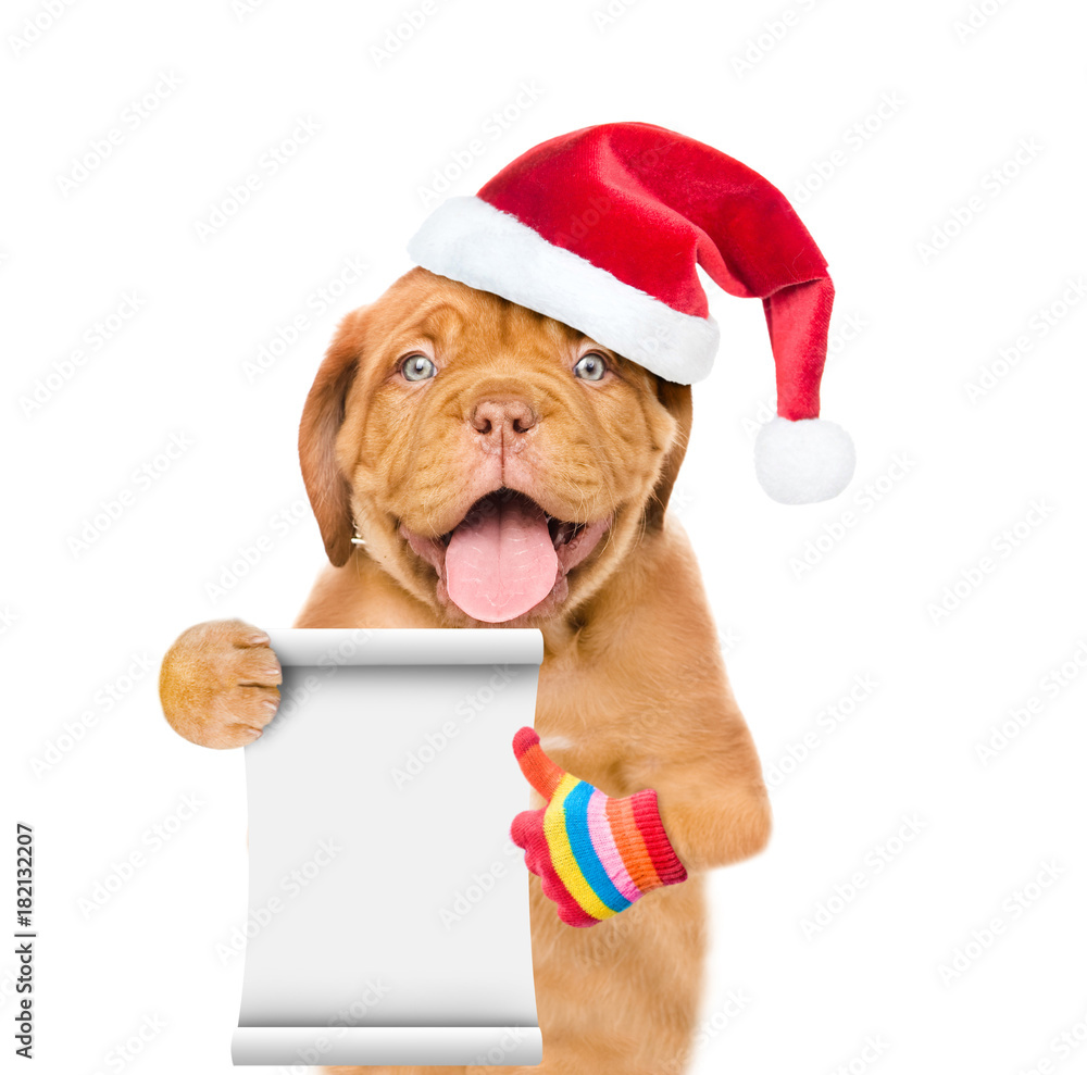 Funny puppy in red christmas hat with empty list showing thumbs up. isolated on white background Funny puppy in red christmas hat with empty list showing thumbs up. isolated on white background