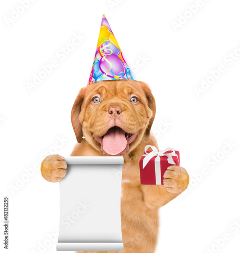 Dog in birthday hat holding empty list and gift box. isolated on white background