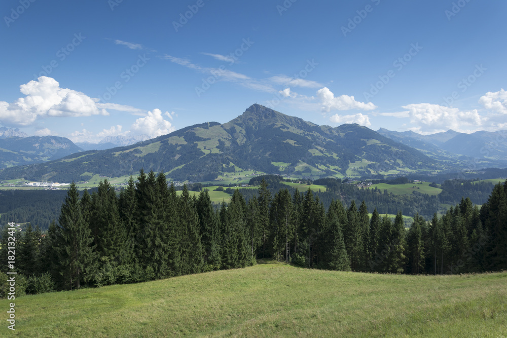 Im Hintergrund das Kitzbüheler Horn vom Astberg aus gesehen.