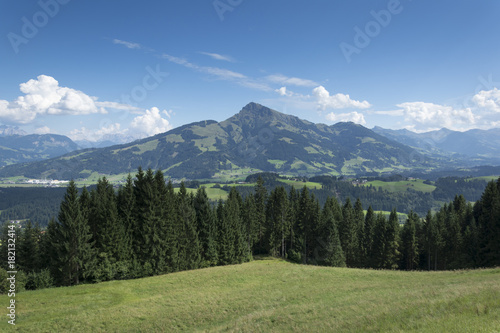 Im Hintergrund das Kitzbüheler Horn vom Astberg aus gesehen.