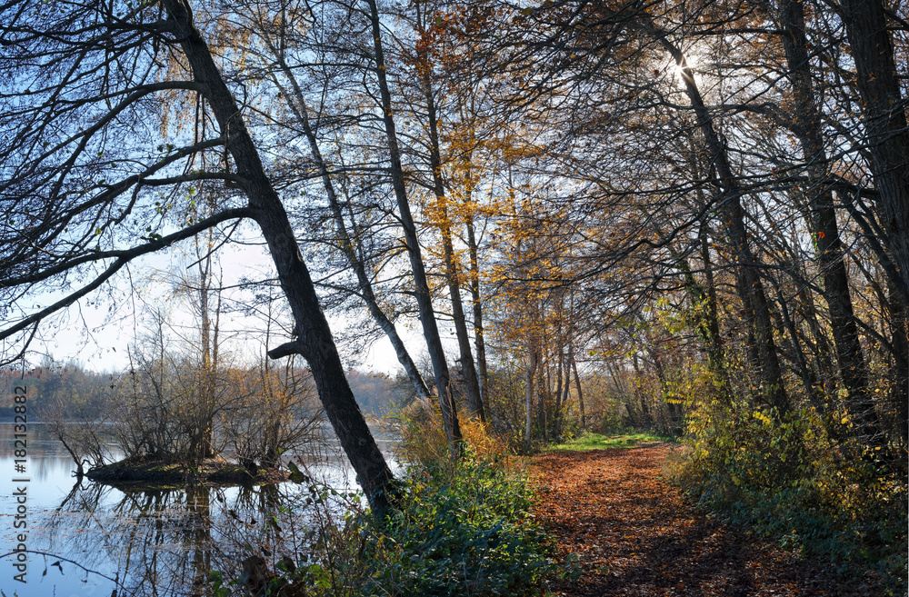 Clarette pond in the french Gâtinais regional nature park Clarette pond in the french Gâtinais regional nature park