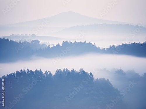 Dreamy landscape lost in thick fog. Fantastic morning glowing by gentle sunlight, foggy valley.