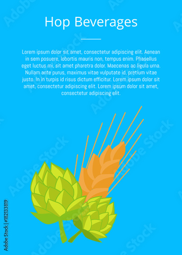 Hop Beverages Poster Hops and Golden Ears of Wheat