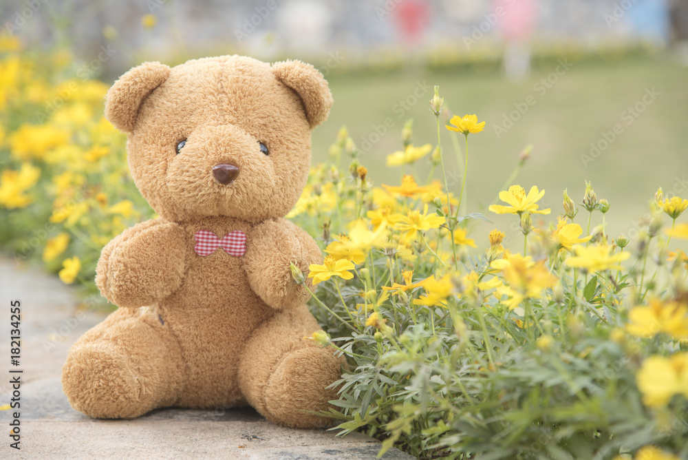 Teddy bear on a flower background blurred Teddy bear on a flower background blurred