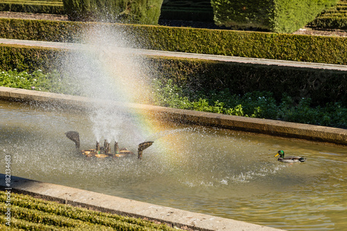 Gardens of Cecilio Rodriguez in the public park El Retiro in Madrid photo