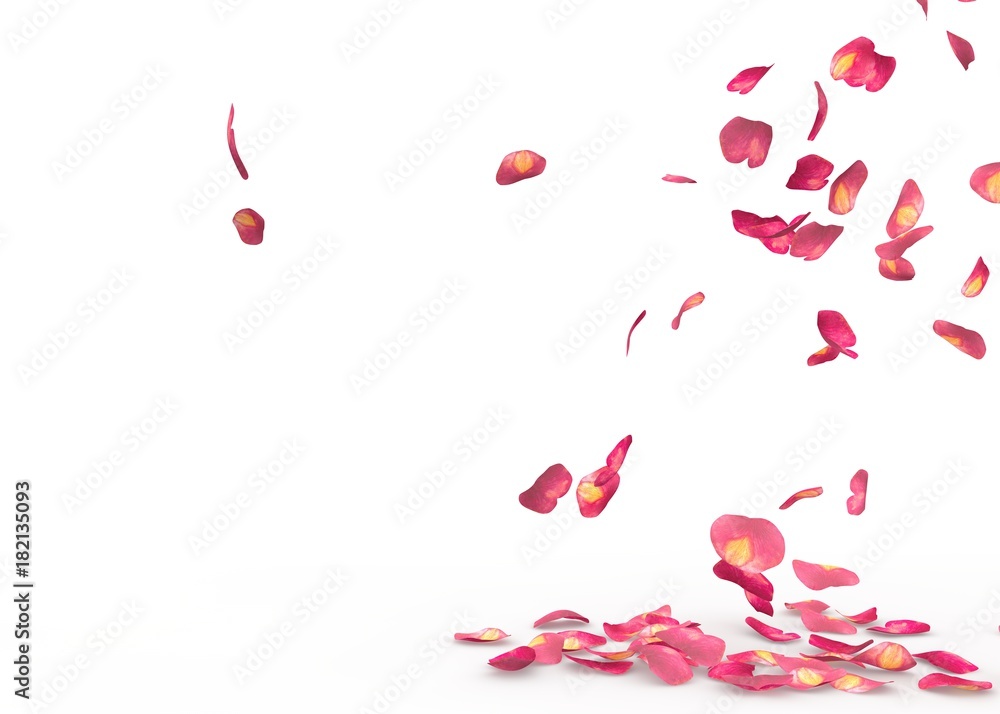 Rose petals fall to the floor Rose petals fall to the floor