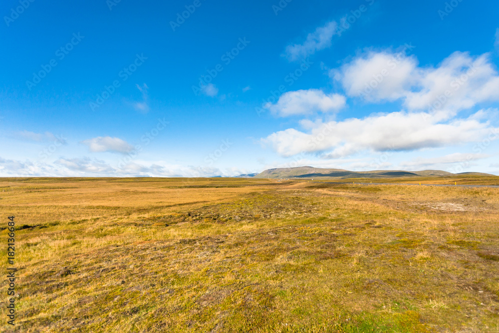 flat landscape in Iceland in sunny september day