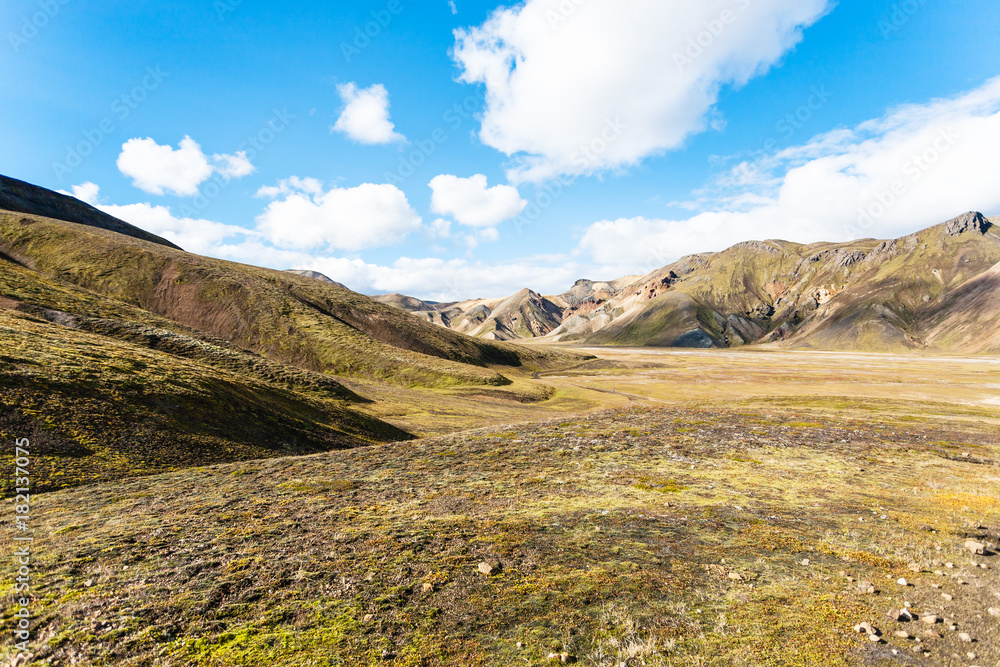 Fototapeta premium slopes of canyon in Landmannalaugar in Iceland