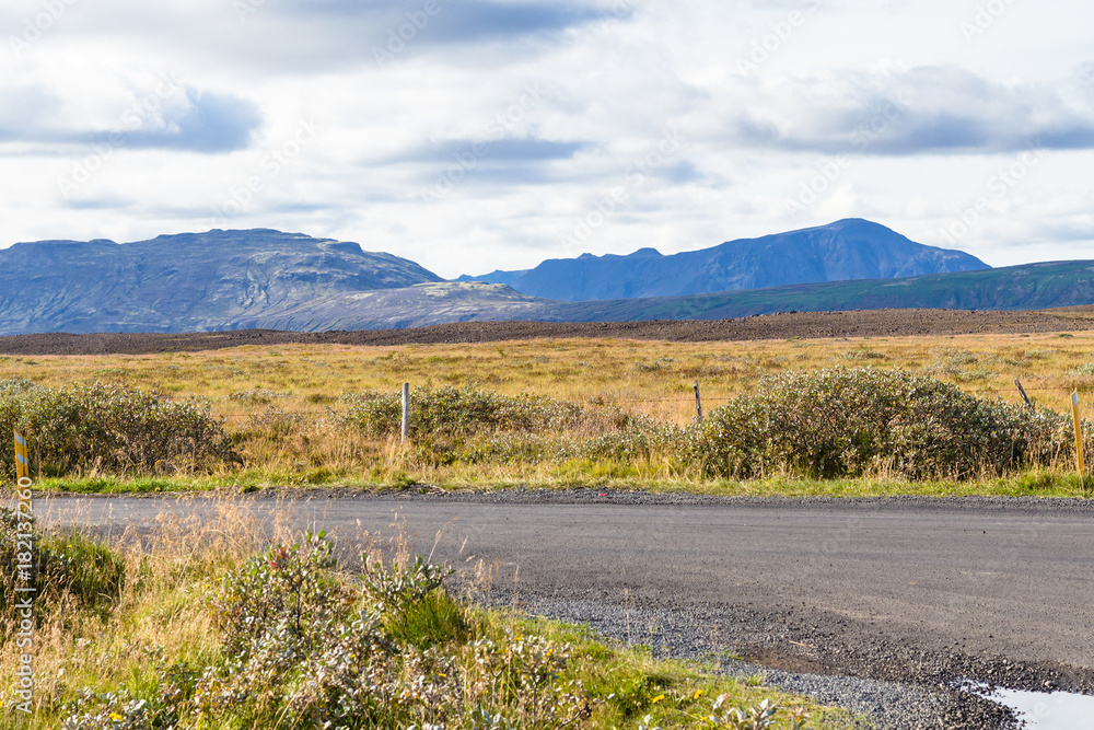 fields along Biskupstungnabraut road in Iceland