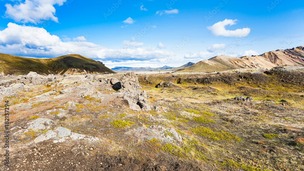 Fototapeta premium mountain meadow in Landmannalaugar in Iceland