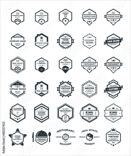 30 Set of Hexagon Vintage Hipster Badge Logo Design Template Vector Symbol