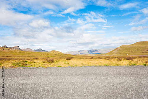 yellow meadow on Southern Peninsula in Iceland photo