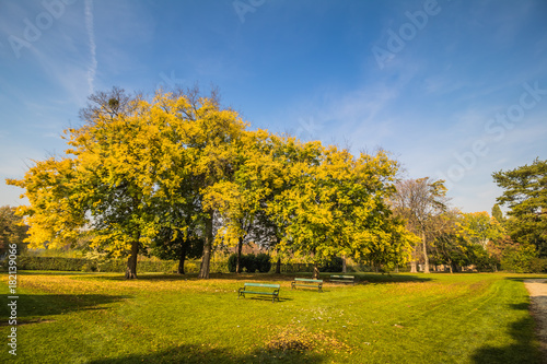 Augarten in Herbst in Wien photo