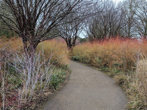 winter color