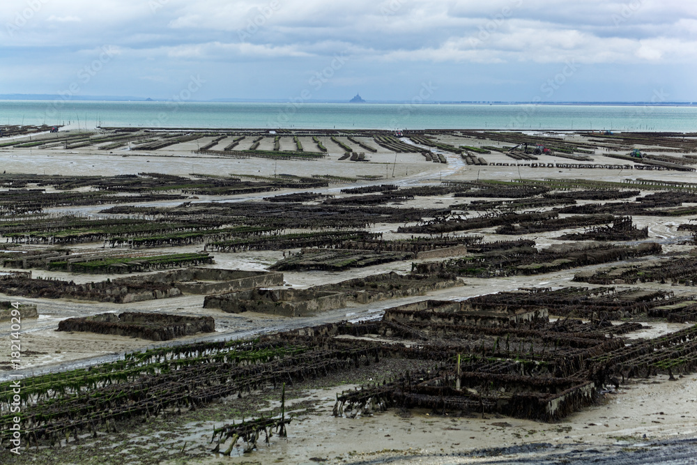 Oyster farms in France