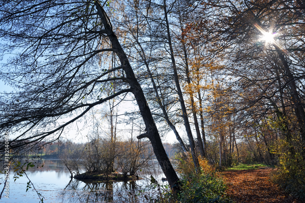 étang de Grez sur Loing dans le parc régional naturel du Gâtinais français étang de Grez sur Loing dans le parc régional naturel du Gâtinais français