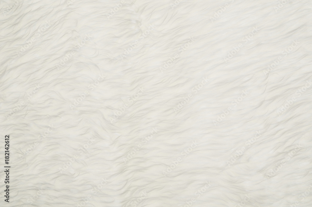 Closeup of white fluffy fur texture or pattern. Background with copy space for text or other design elements. Closeup of white fluffy fur texture or pattern. Background with copy space for text or other design elements.