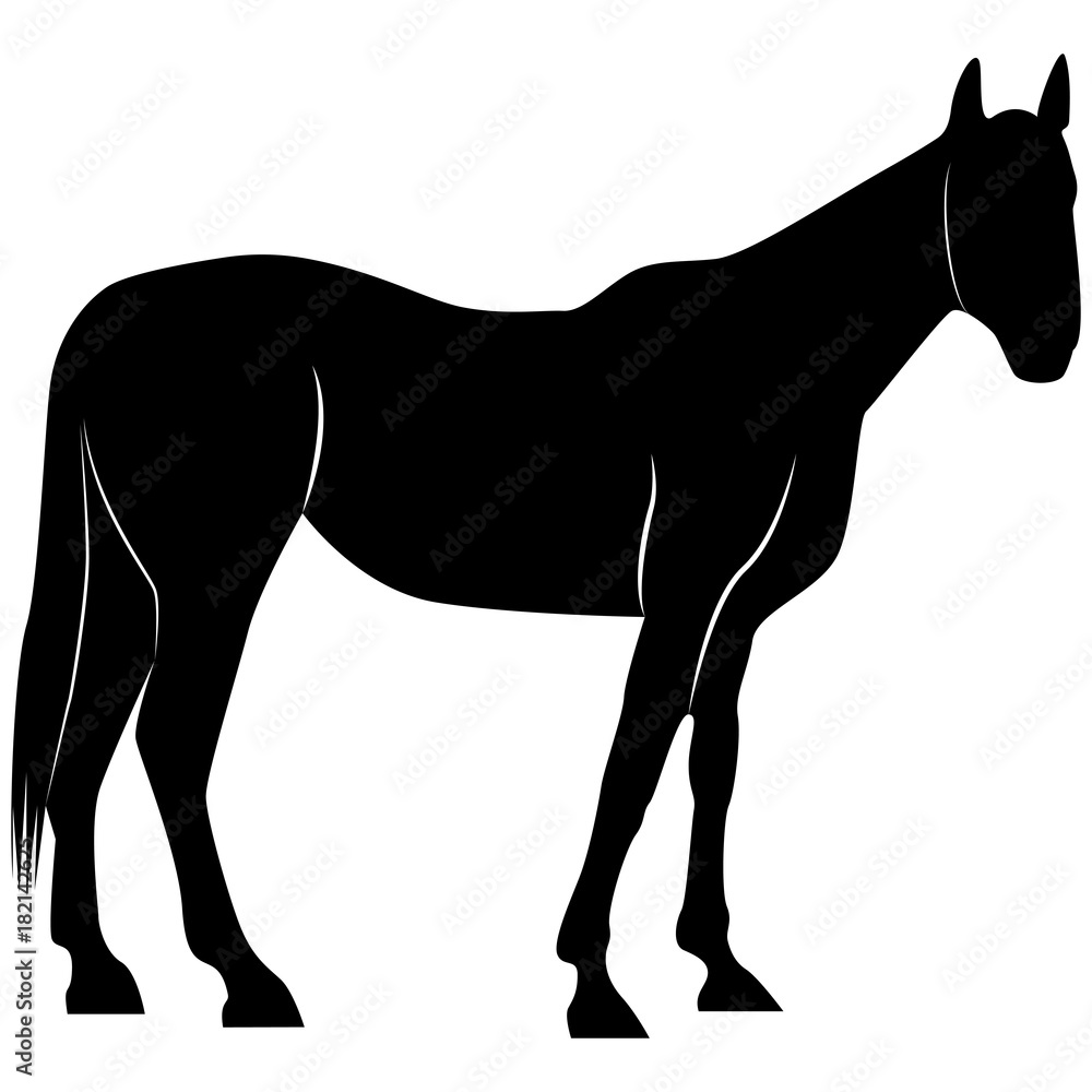 Obraz premium Picture of a horse silhouette for retro logos, emblems, badges, labels template vintage design element. Isolated on white background