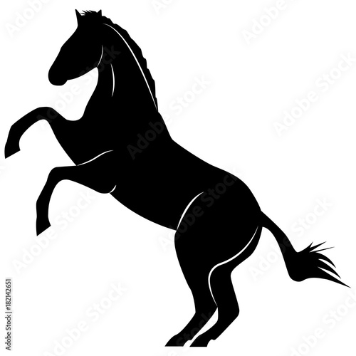 Vector image of a silhouette of a horse standing on the hind legs