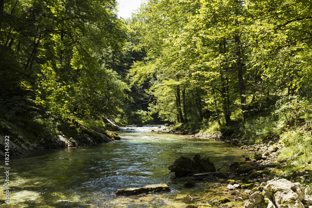 Obraz premium The famous Vintgar gorge Canyon with wooden pats near Bled, Triglav Nationalpark