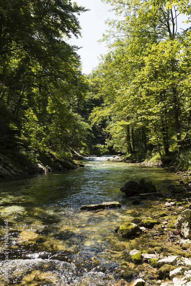 Obraz premium The famous Vintgar gorge Canyon with wooden pats near Bled, Triglav Nationalpark