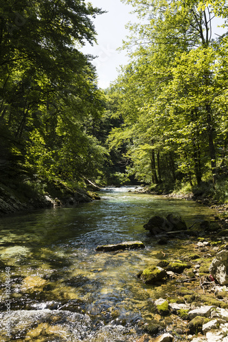 The famous Vintgar gorge Canyon with wooden pats near Bled  Triglav Nationalpark