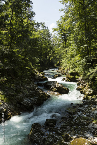 The famous Vintgar gorge Canyon with wooden pats near Bled  Triglav Nationalpark