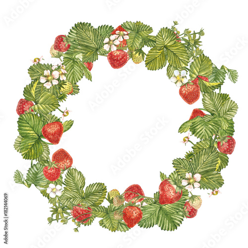 Watercolor colorful realistic wreath with ripe red Strawberry on round white background