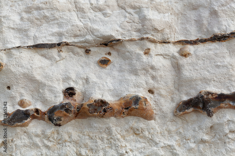 Obraz premium Black flint pebbles in limestone of Cretaceous age