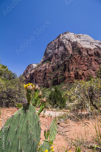 Ziona National Park photo