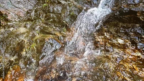 Slow motion drinking water in waterfall