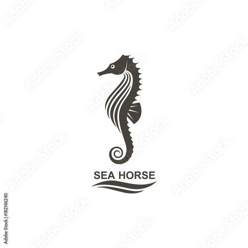 icon of seahorse on isolated white background