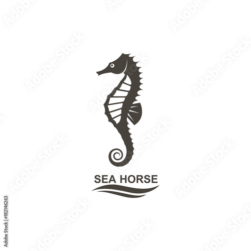 icon of seahorse on isolated white background