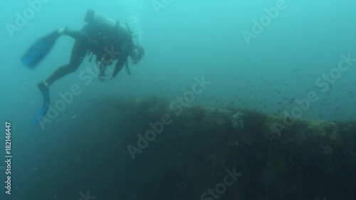 Wallpaper Mural A gliding shot on top of a coral reef. A school of fish is seen in the background. Torontodigital.ca