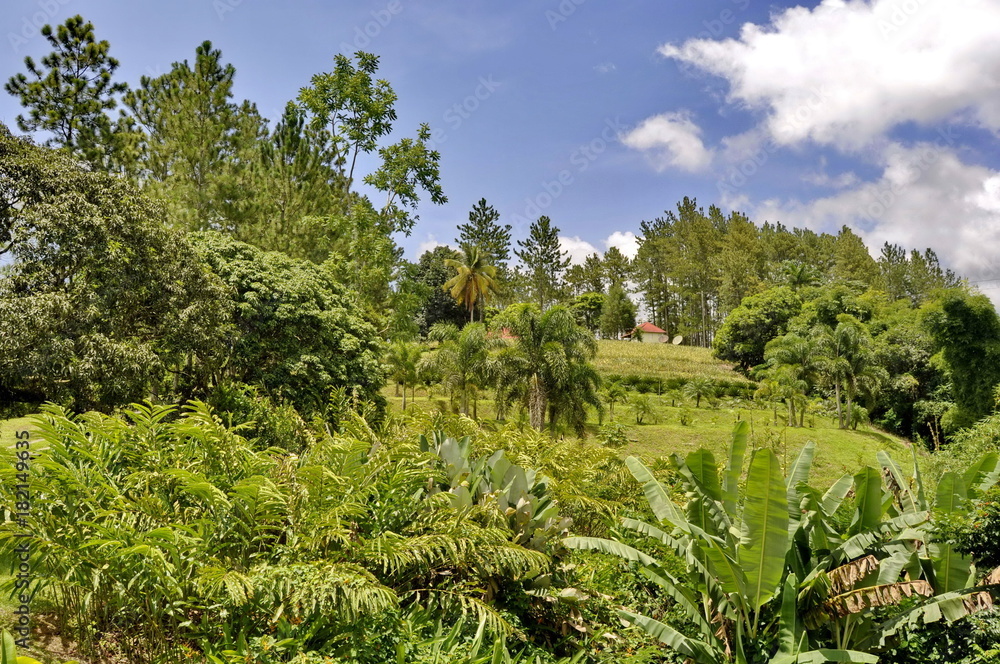 Croydon Plantation, Jamaica