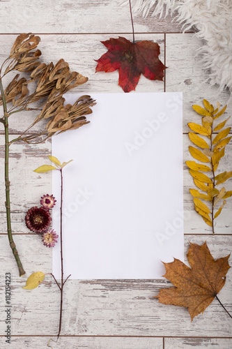 Slika na platnu white paper with autumn leaves