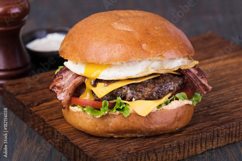 Canvas Print burger