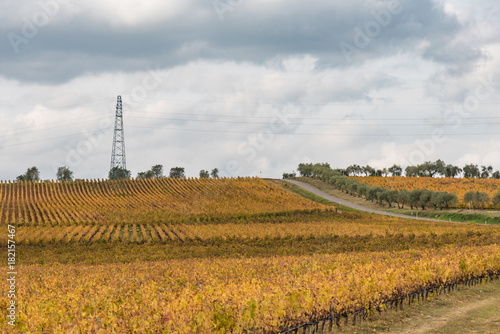 autumn in the hills of Siena with ancient farms and vineyards