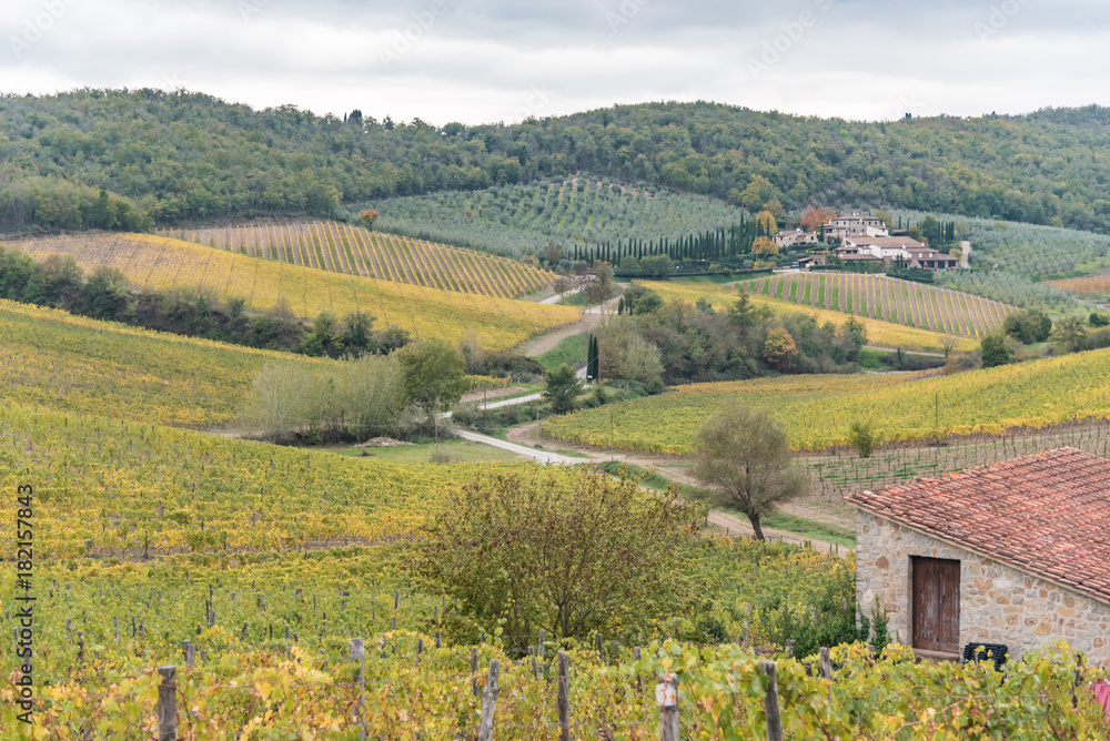 autumn in the hills of Siena with ancient farms and vineyards